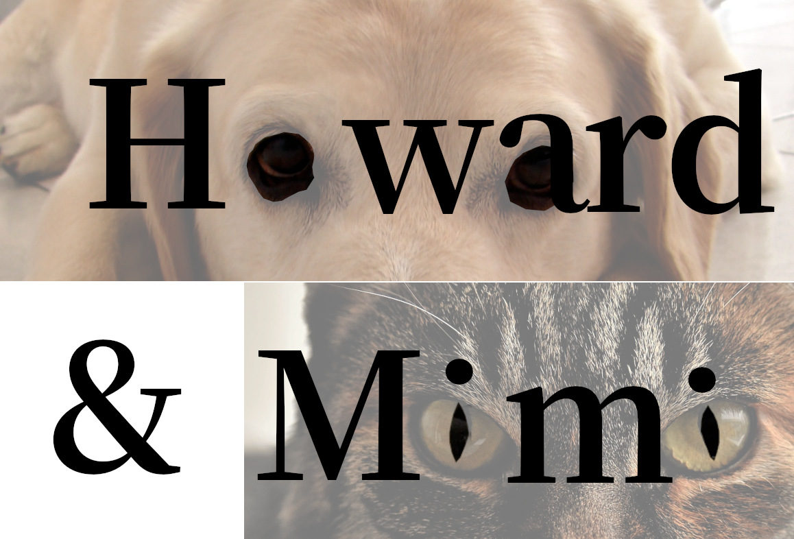 Howard and Mimi flyer, using the eyes of a dog and cat as letters.